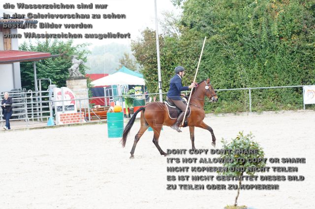 s_DSC04376.JPG